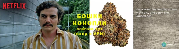 МДПВ Заволжск
